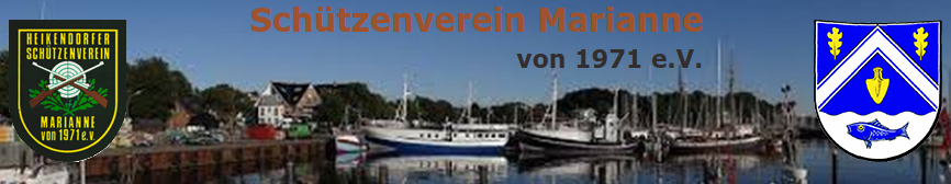 SVM-Banner